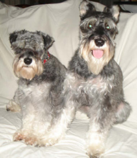 Max and Rudy