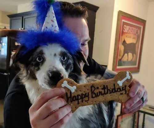 Dog wearing birthday hat with birthday bone cookie